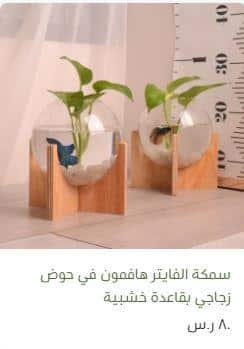 طريقة الطلب من جذور للنباتات الداخيلة