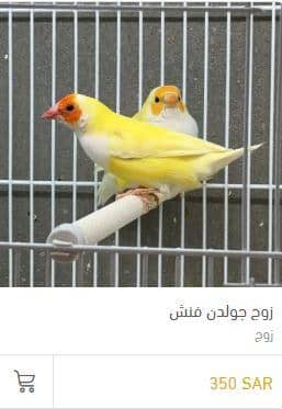 طريقة الطلب من متجر الميشو