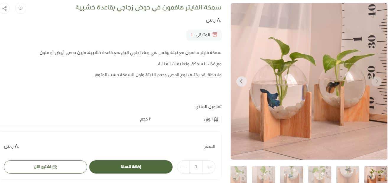 طريقة الطلب من جذور للنباتات الداخيلة