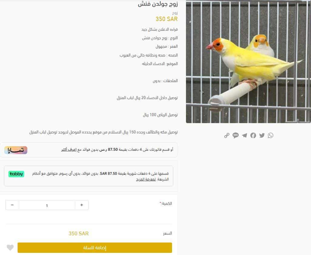 طريقة الطلب من متجر الميشو