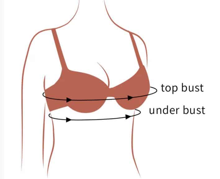 bust size معنى